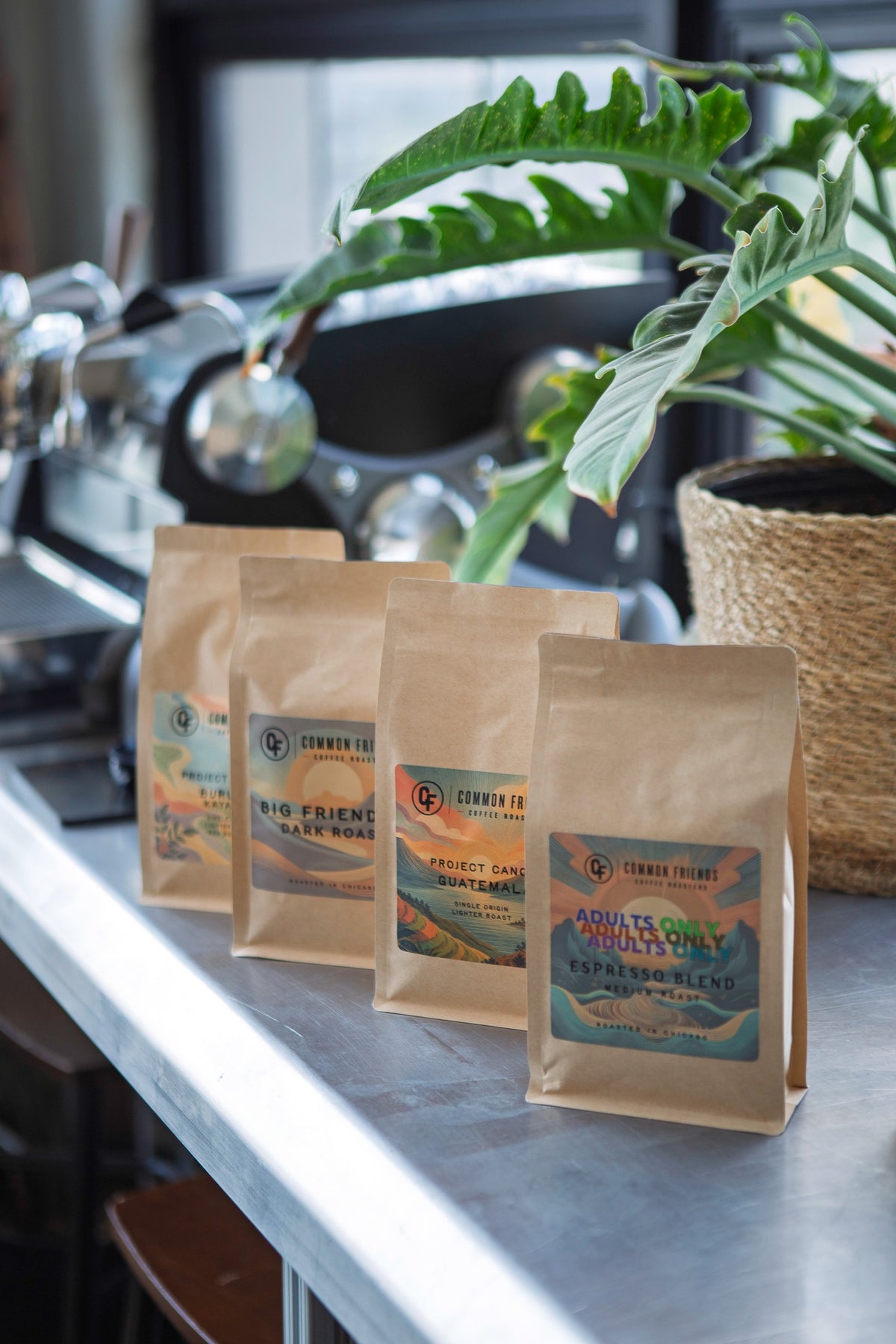 Common Friends coffee bags on a café counter beside a large green plant