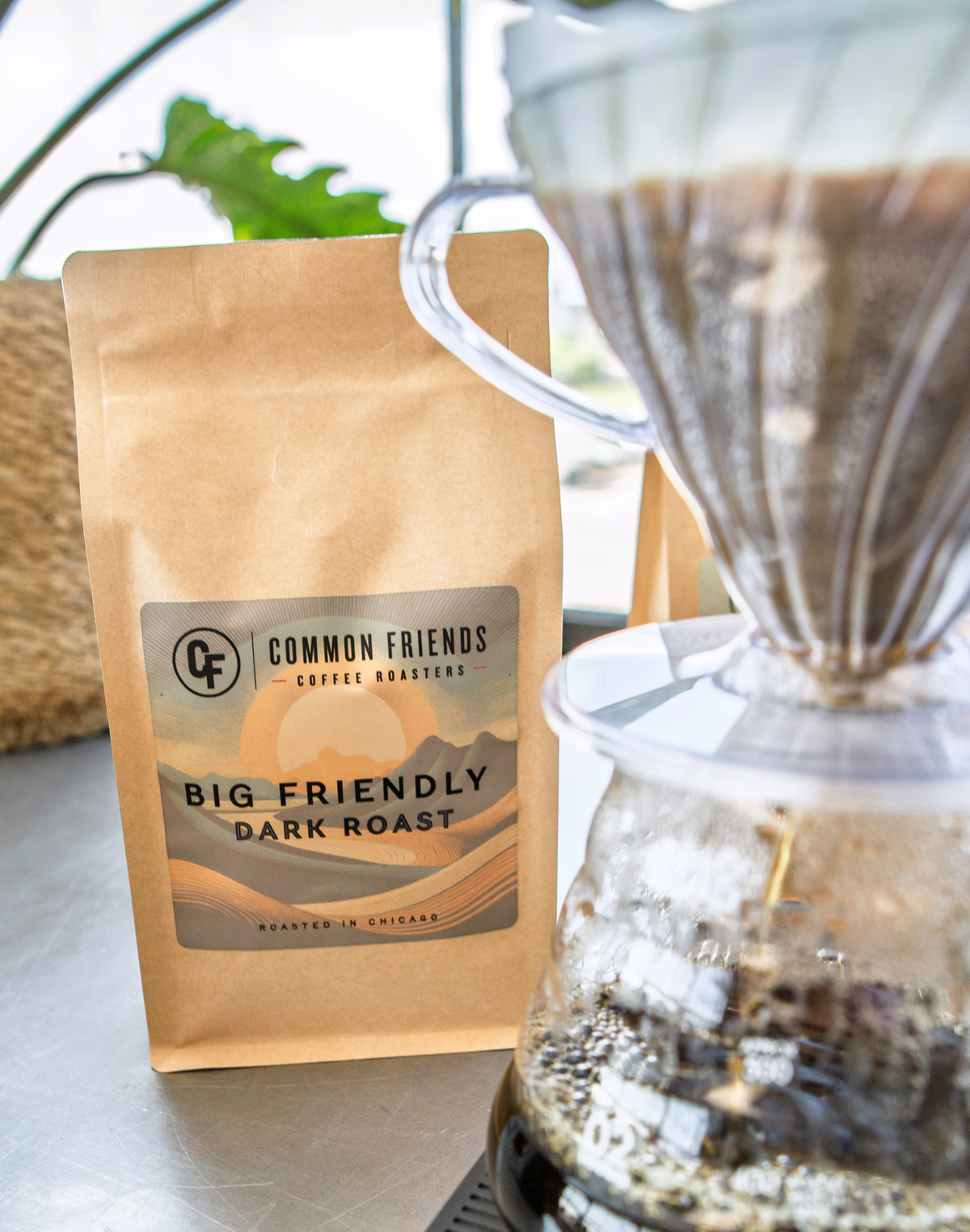 Big Friendly Dark Roast Coffee
