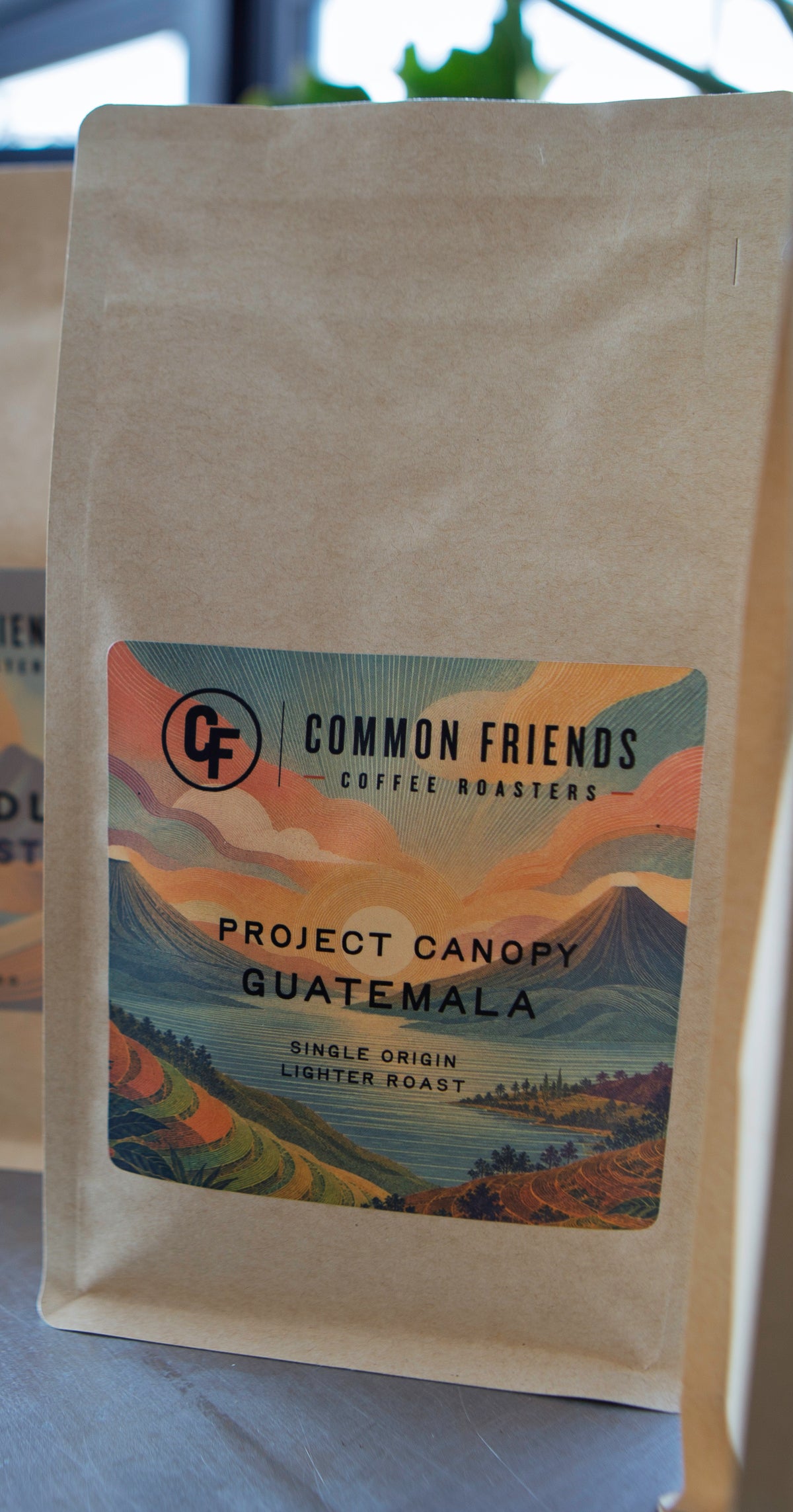 Project Canopy Guatemala Medium-Light Roast