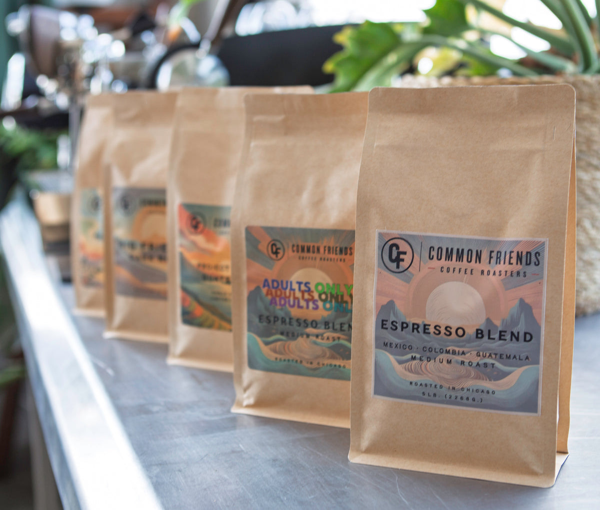 Lineup of Common Friends Coffee bags freshly roasted in Chicago